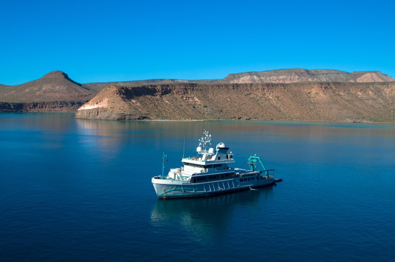 PRICE REDUCTION ON ALUCIA